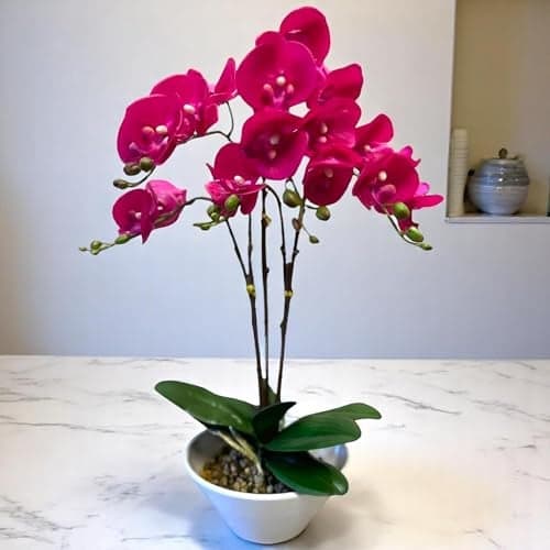 Garden Art Artificial Real Touch Orchid Flower Pot With 3 Stem 5 Flower Stick (GAOR24-0196DP) | 57cm Tall Dark Pink Orchid Bonsai Faux Phalaenopsis Plant | Arrangements for Home Decoration (Dark Pink)