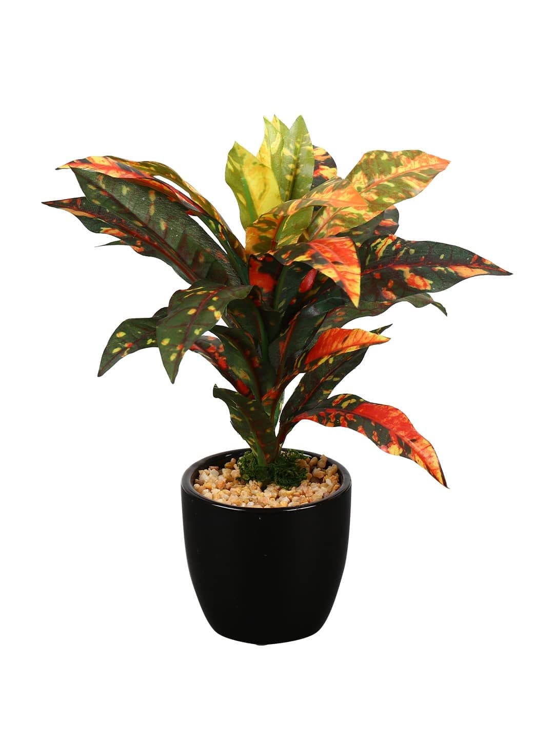 Fourwalls Artificial Natural Looking Dracaena Bonsai Plant in A Ceramic Vase for Home Office Decor 24 cm Tall 25 Leaves Yellow
