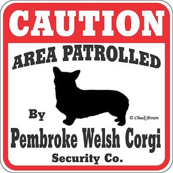 Dog Yard Sign Caution Area Patrolled by Pembroke Welsh Corgi Security Company
