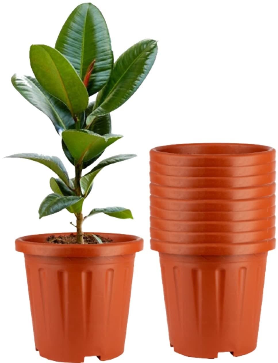 Tim Tim Agro 8 Inch Nursery Pots, 15 Packs Variety Plastic Pots with Drainage Hole, Plant Containers for Seedlings, Succulents, Transplanting (Red - Round)