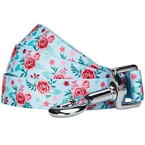 Blueberry Pet Essentials Spring Scent Inspired Garden Floral Dog Leash in Pastel Blue, 5 ft x 5/8", Small, Leashes for Dogs