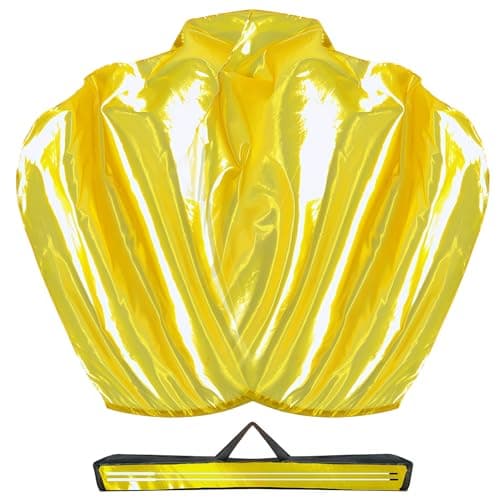 Baisdan 51''x45" Worship Flags for Dance Church, Praise Dance Flags for Worship, Worship Flag with Flexible Rods & Carrying Bag, 2 Pack, Gold