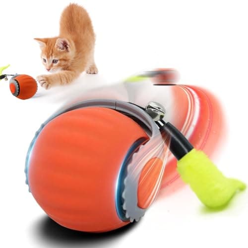 Qpets® Electric Cat Ball Toy, Cat Teaser Ball Toy with 2 Speed Fun Speedy Chasing with Teasing Tail & Bell Charm Self Entertainment (USB Rechargeable)