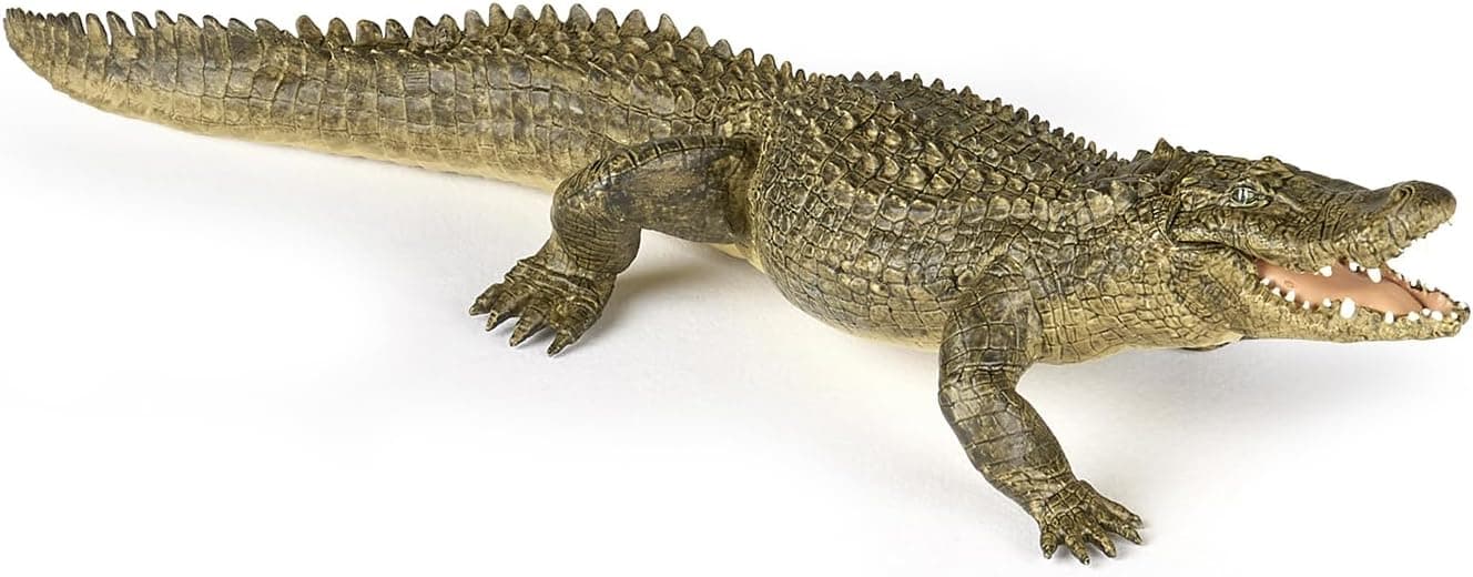 Papo HandPainted Figurine Wild Animal Kingdom Alligator 50254 Collectible for Children Suitable for Boys and Girls from 3 Years Old