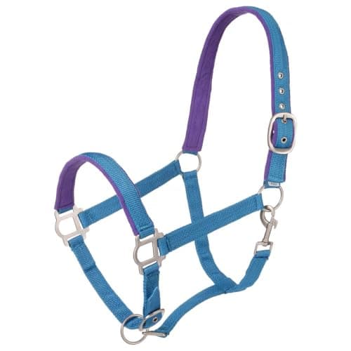 Tough 1 Nylon Padded Halter with Satin Hardware, Turquoise, Horse
