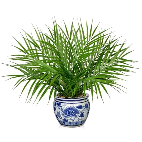 Hollyone Large Artificial Potted Plants Fake Palm Plants 16 Faux Green Plant Plastic Tropical Palm Tree in Blue and White Porcelain Ceramic Pots for Home Room Office House Indoor Decoration