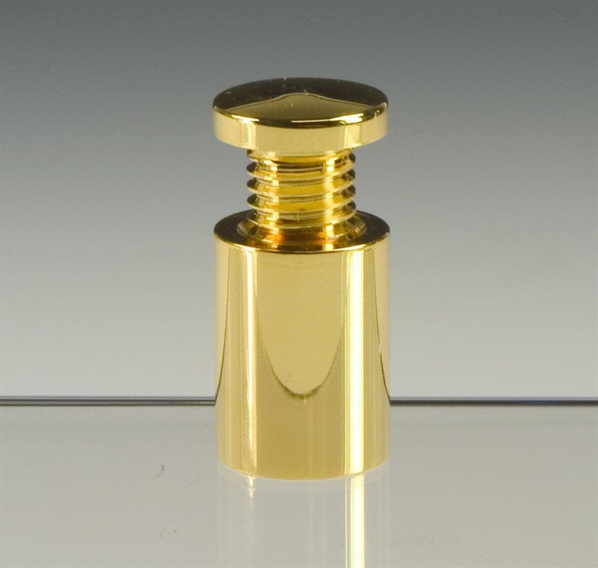 Set of 834 x 1 Polished Gold Finish Cast Brass Standoff Screws for Holding Signage Mounts 2 Signs