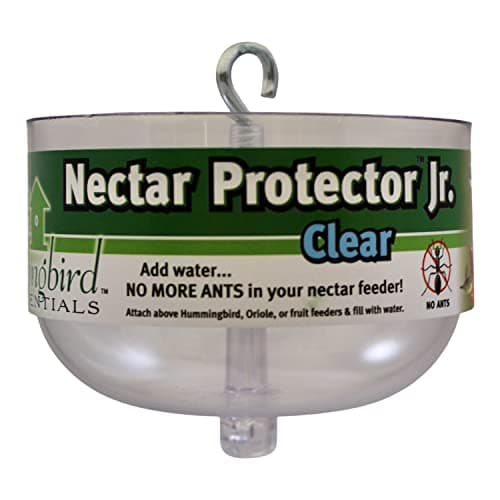 Songbird Essentials Nectar Protector Junior, Bird Feeder Protection, Clear
