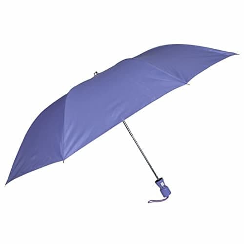 Fendo Laura 2-Fold Umbrella for Men and Women | Windproof & Rainproof Umbrella for Rain | 24.5 Inch Auto Open Compact Travel UV Protection | Light Violet