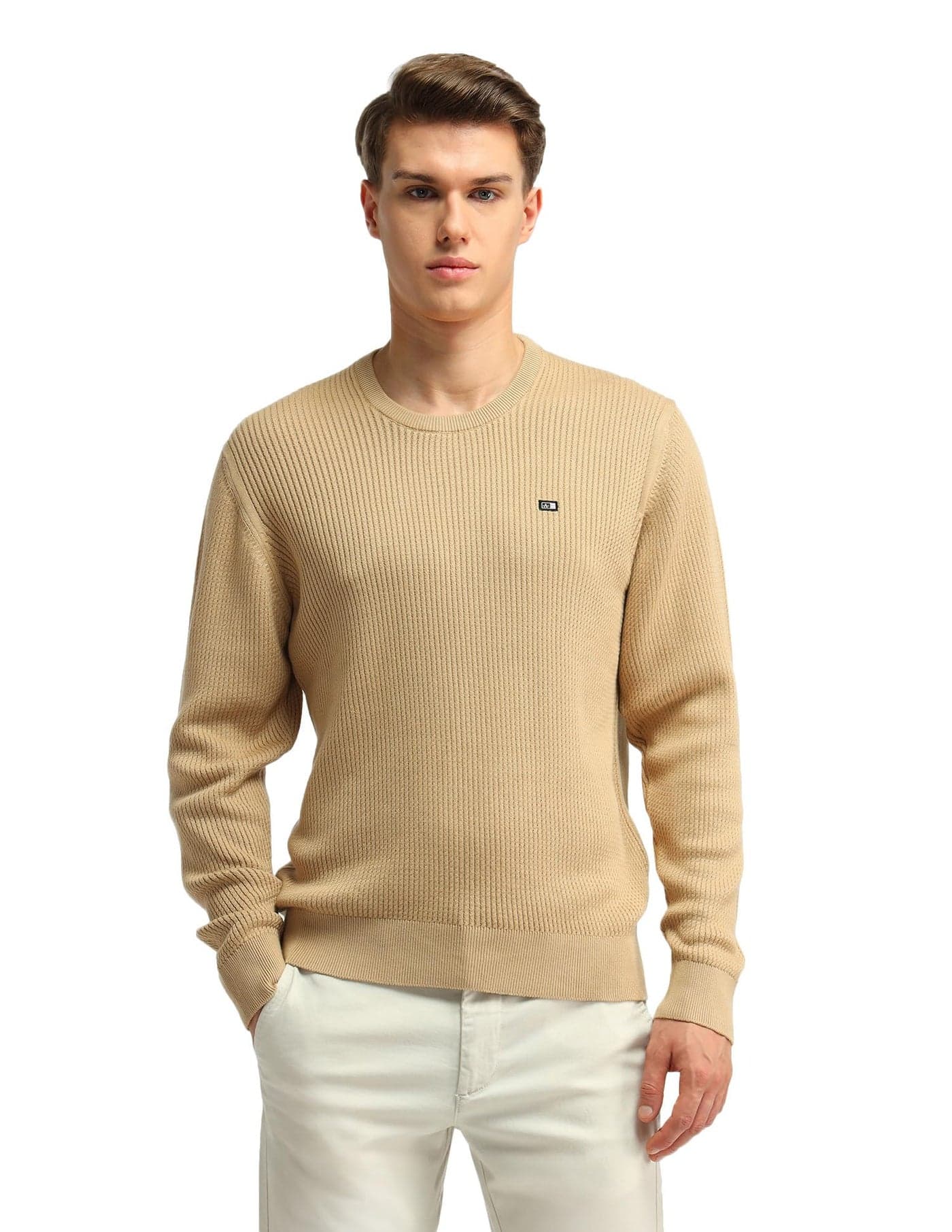 Arrow Sports Mens Beige Solid Crew Neck Long Sleeve Casual Cotton Regular Fit Sweater (ASAISW4275_Beige_XL)