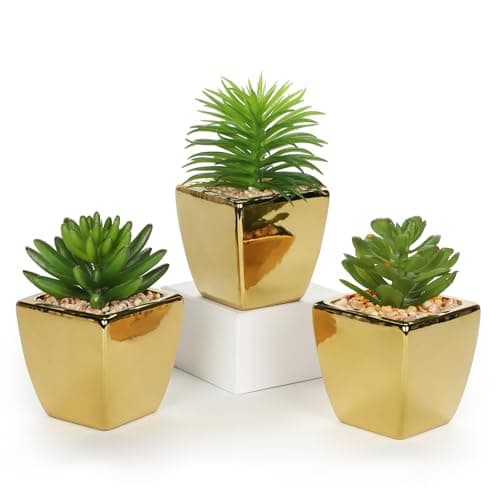 Hollyone Small Succulents Artificial 3 Pcs Faux Succulents with Gold Pots Mini Fake Succulent Plants Indoor Plant Ceramic Pots for Modern Office Desk Bathroom Shelf Living Room Home Decor