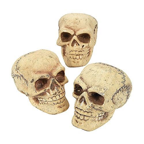 Fun Express Small Skulls for Halloween - Set of 3 - Use for Shrunken Heads and Scary Home Decor