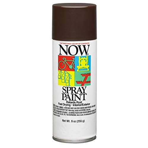 Krylon NOW Spray Paint, Gloss, Brown, 9 oz