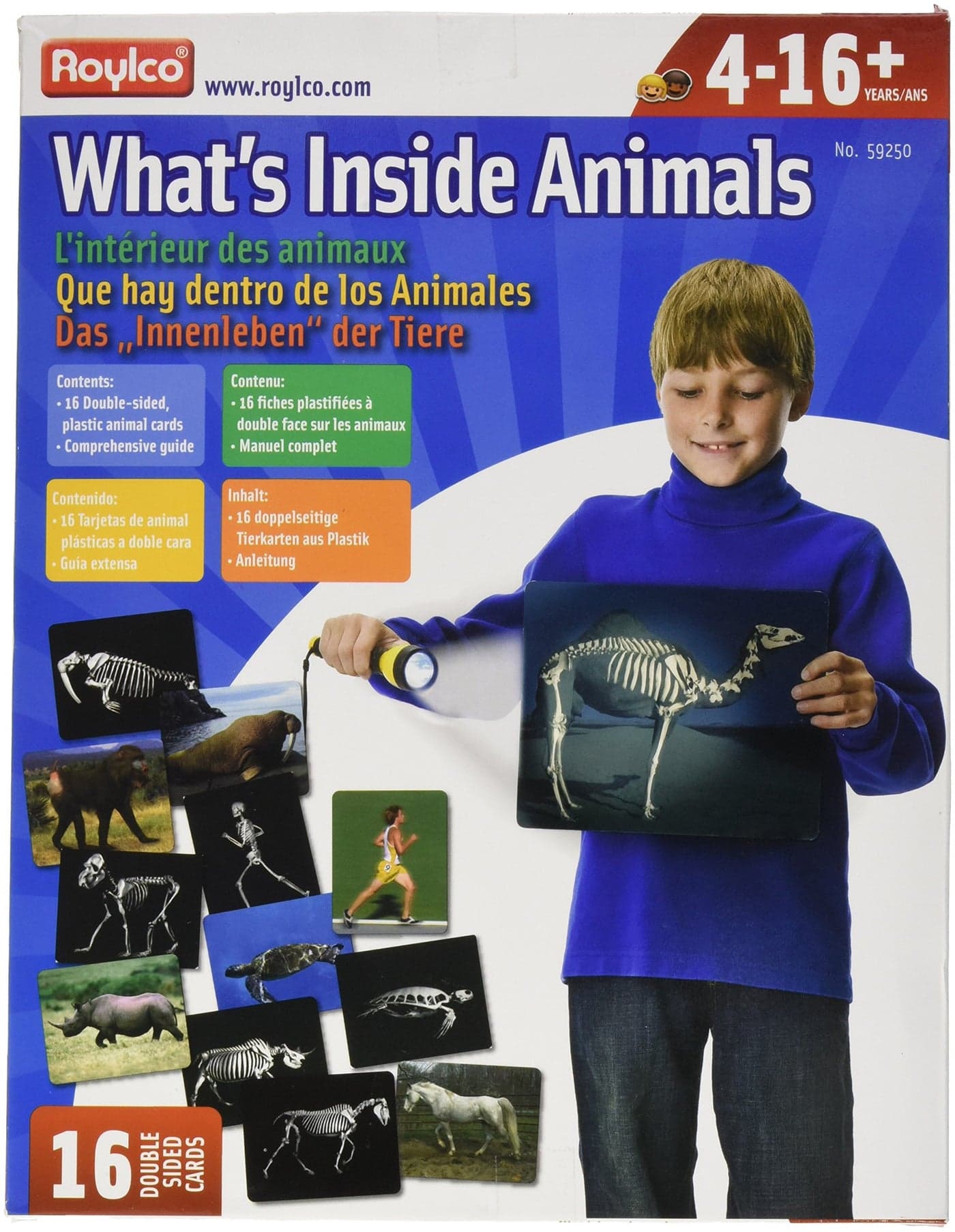 Whats Inside Animals Flash Cards
