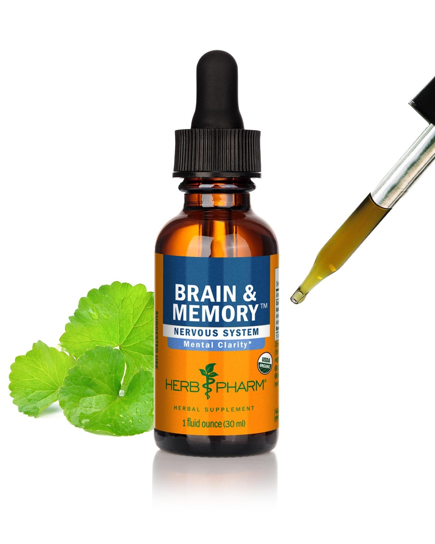 Herb Pharm Organic Nootropic Brain Memory Supplement with Ginkgo Biloba Liquid Extract Fast Absorption for Mental Focus Support Ginkgo Supplement Vegan GlutenFree NonGMO 1 Oz