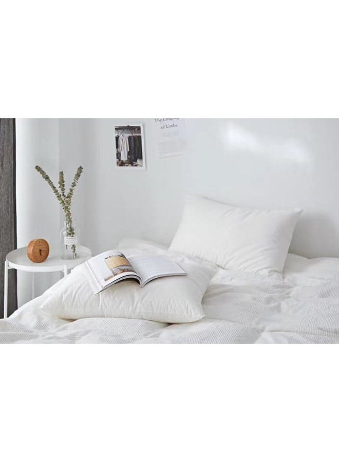 Set Of 2 Lavish Ultra Soft Rectangular Anti Allergy Pillows Microfiber White 74x48cm