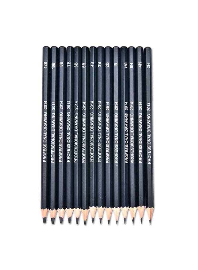 14-Piece Graphite Sketching Pencil Set Black