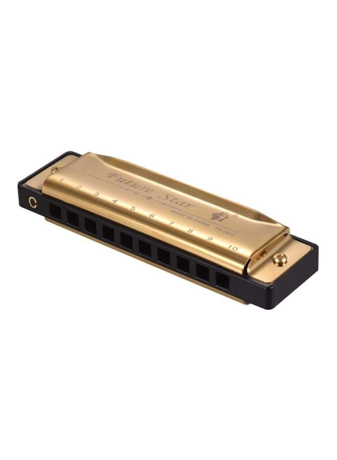 10-Hole Diatonic Harmonica